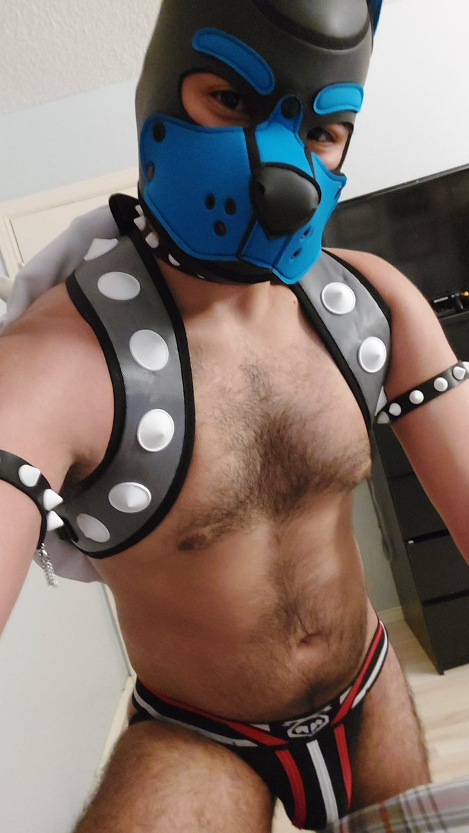 PupRufus13's tweet photo. Hope you brought enough treats for me, otherwise the chain chomp'll be the least of your worries 😈 https://t.co/abB4qWFnNo
