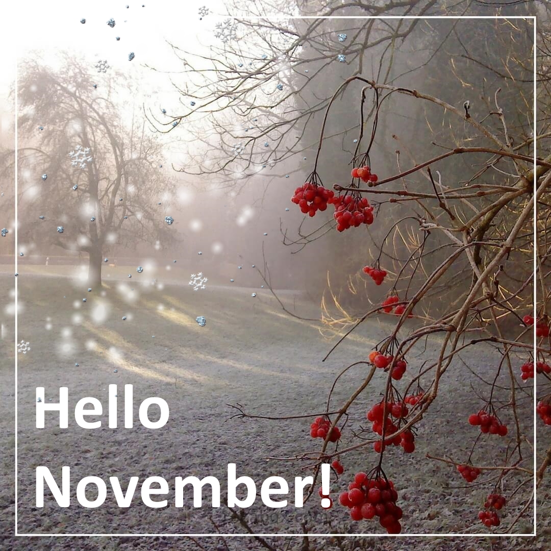 FanClub_Kourni's tweet image. Привет, Ноябрь! 👋 Добро пожаловать! 🍁🍂🌨 Пусть предстоящие дни наполнят вас радостью! 😘❤

Hello November! 👋 Welcome! 🍂🍁🌨 A Happy November to you and your family! 😘❤

#ноябрь #добропожаловать #осень #november #welcome #autumn #аннакурникова #annakournikova