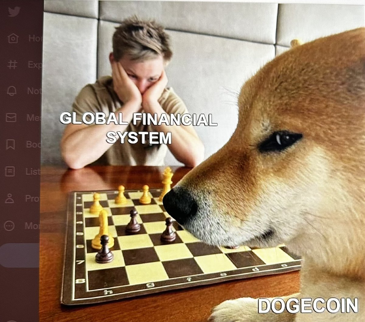 xau_in's tweet photo. $DOGE

#doge #dogecoin #dogetothemoon https://t.co/bCumXAKngE