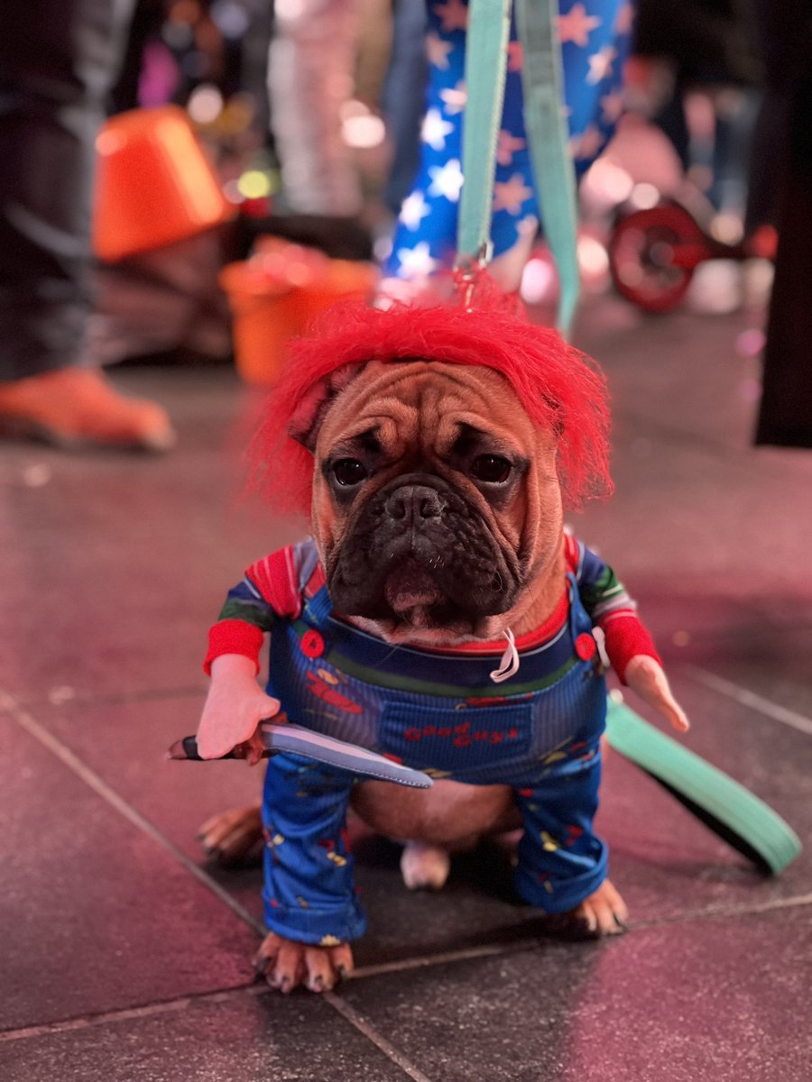 hasannormann's tweet photo. Happy Halloween NYC 🎃👻

#Halloween 
#HappyHalloween 
#NewYork https://t.co/l5SIhi3r33