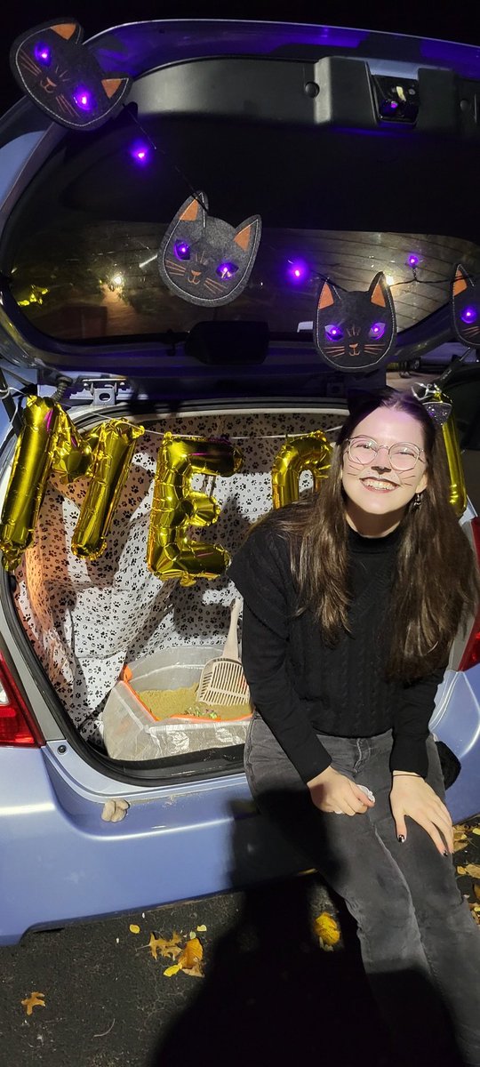 IamGretchenBird's tweet photo. 10/10: making your car for trunk or treat "cats" and creating a litter box with fake poop. https://t.co/d6DXdWqe2E
