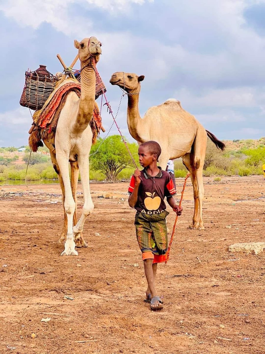 Cawslab's tweet photo. Alshabaab --> KHAWAARIJ:

#Awrka na sii ama 
#Qaalinka na sii ama 
#Willka na sii ama 
#Gabadha na sii ama 
#Islaanta

Ma waxaan GOBI ka dhiman baa?.
Caruurteenna aan ka xorayno dulliga

*Wiil yaroo reer Tardo ah, Hiiraan👇 https://t.co/GY2ZTEub5b