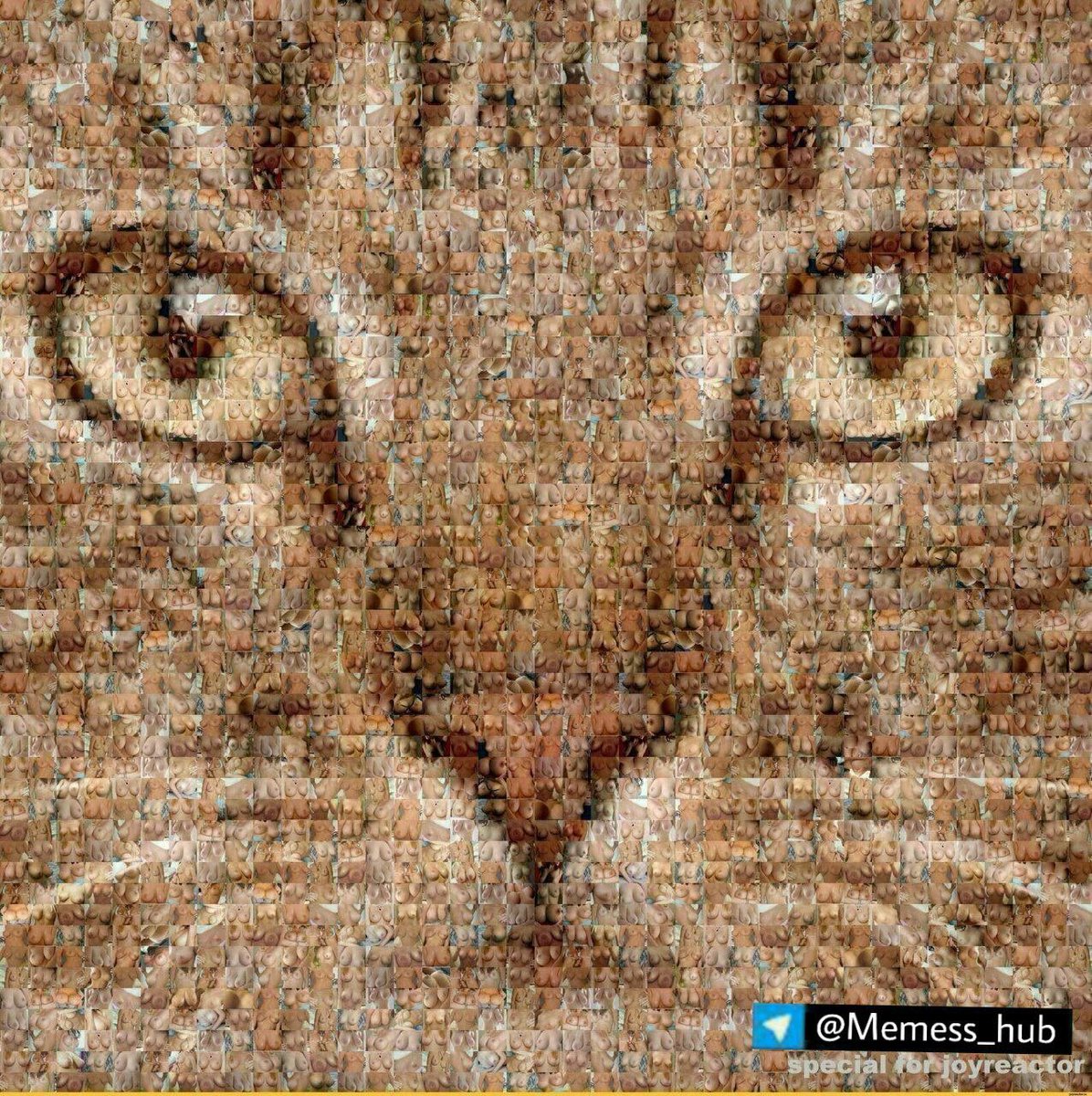 lubos256's tweet photo. It's a Tittie Tuesday... I got you covered... Just don't ZOOM 😍😂 https://t.co/mgjqT6xk16