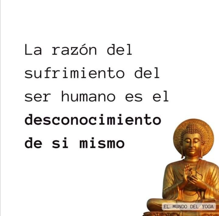 arrona_judith's tweet photo. https://t.co/JSRqPk2m1X