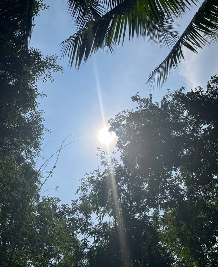 Eva12Han's tweet photo. 🏃‍♀️ https://t.co/Oopk8i4lvK