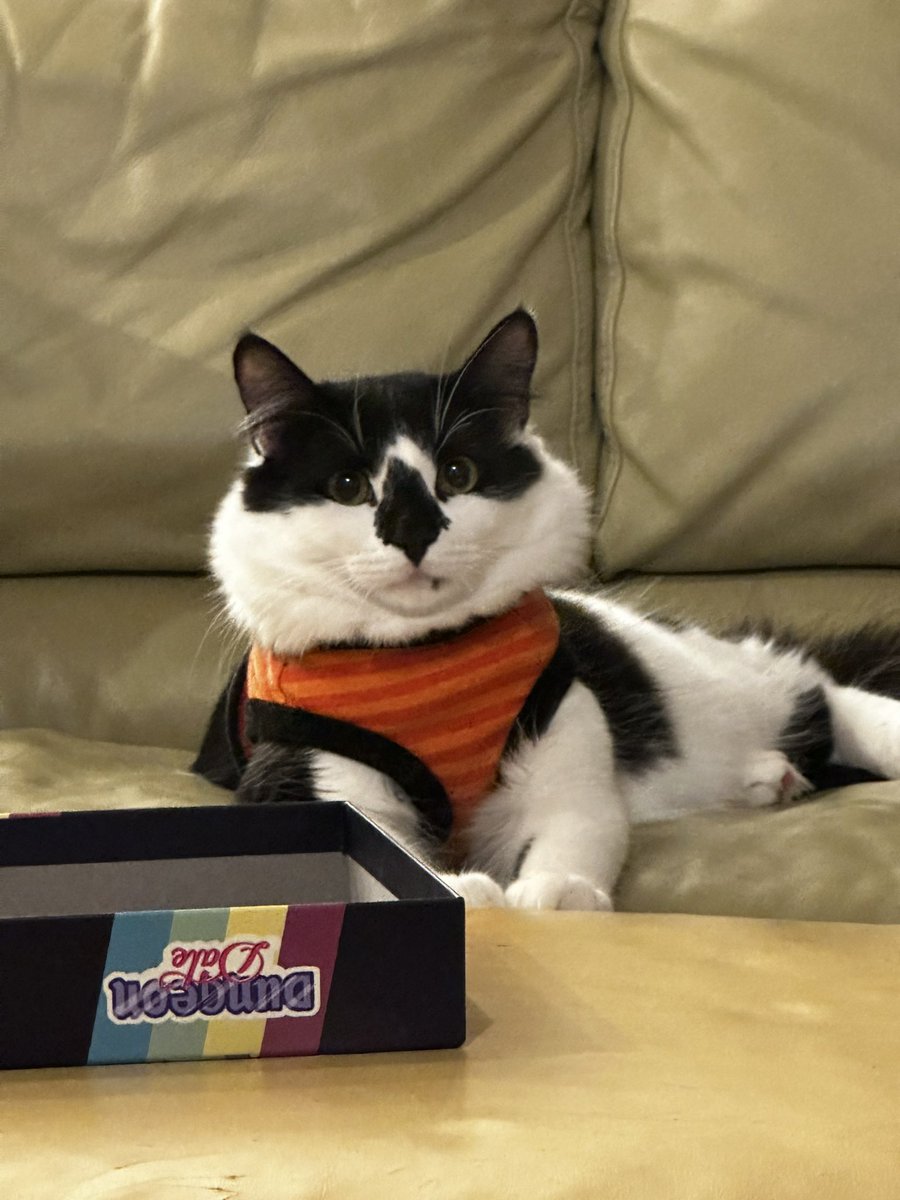 TylerSlay87's tweet photo. Look at this fat neck. Cute costume #ghostthecat. Family spooky fun with #dungeondate https://t.co/K1TAI13f92