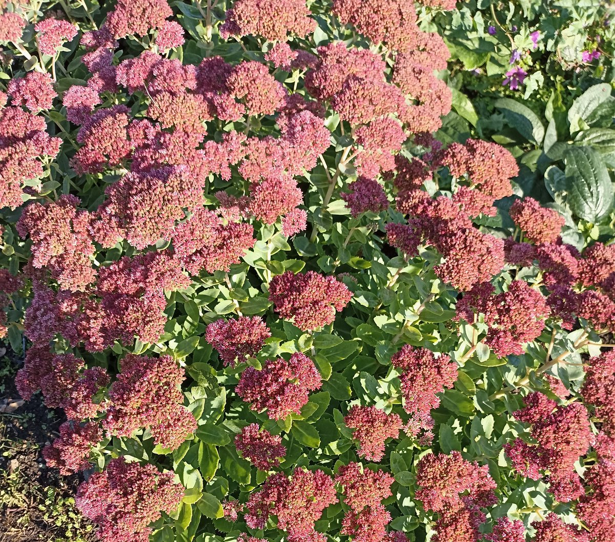 Le vent tambourine dans la cheminée. De lourds nuages roulent dans un ciel tourmenté.
Je pose un silence sur le cri. 
Nul besoin de son pour exprimer la peur. 
Il faut juste bousculer les ondes. Mettre la Vie en musique pour que ça aille mieux. 
Douce journée à Vous.