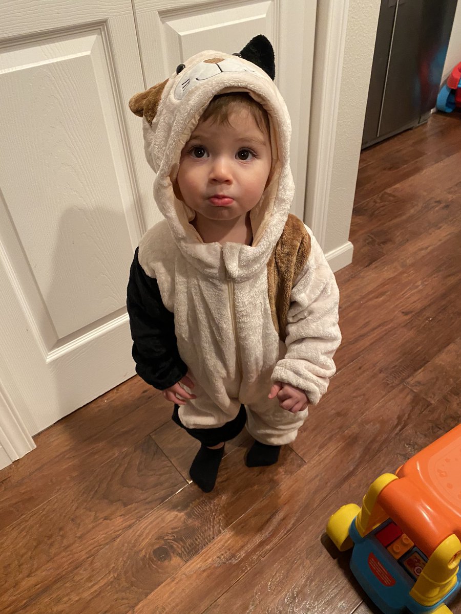 elumina's tweet photo. Happy Halloween from me and my little kitty 🧡 https://t.co/nUB0SeRbh7