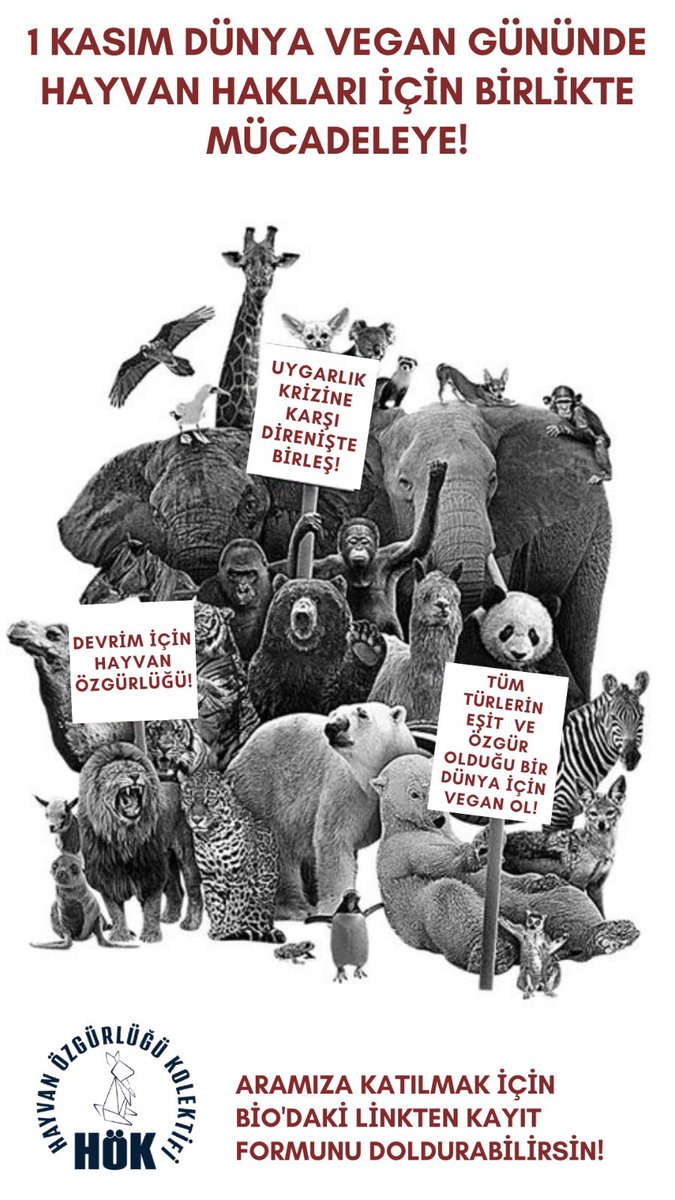 Uygarlık krizine karşı direnişte birleşelim. Tüm türlerin eşit ve özgür olduğu bir dünya için vegan ol! Gelecek için devrim; devrim için hayvan özgürlüğü!
#1KasımDünyaVeganGünü