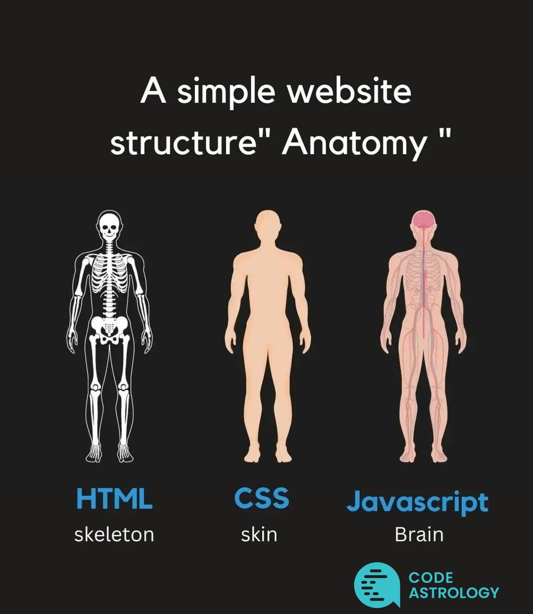 CodeAstrology's tweet image. A Simple &amp;amp; Basic Website Structure (Anatomy) using HTML, CSS, and JAVASCRIPT. 😊

#CodeAstrology #webdevelopment #codinglife #codingisfun #ilovecoding #programming #languages #coding #weprogrammers #websitedevelopment #java #html #css #uidesigner #coder #webdesigning