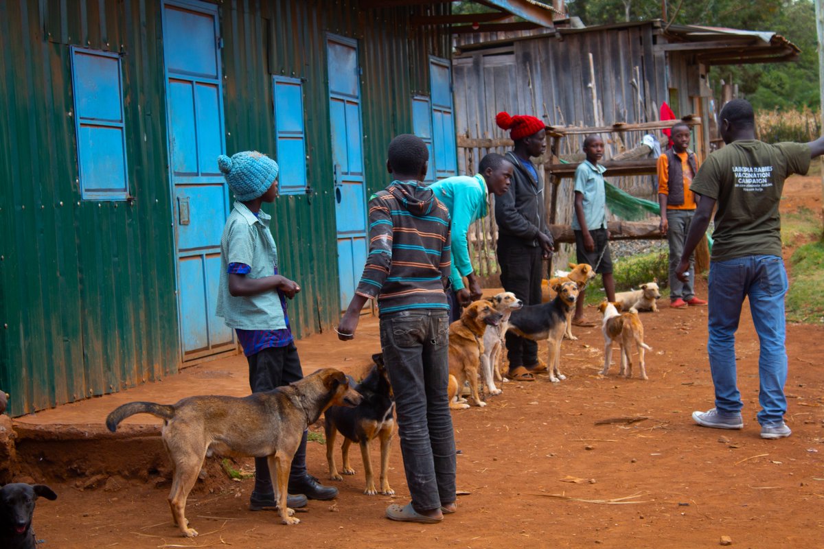 MpalaWildDogs's tweet photo. 3rd weekend of #LRVC2022 done and dusted!! Thank you @MugieConserve for your great support in making the vaccination campaign in Rumuruti area a great success.
@mpala_rc
@LaikipiaCountyG
@MugieCamp
#Endrabies #domesticdogs #vaccinations #partnerships #ZeroBy30 #Laikipia https://t.co/TH4z7cepPu