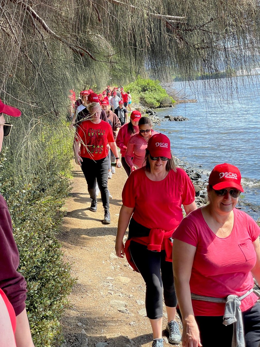 VictorChangInst's tweet photo. What a stunning day to say #SCADaddle to beat #SCAD! The sun shone all day long for participants from Hobart to Perth and along the East Coast. Thanks to everyone who put their best foot forward to help raise more than $35K for research into SCAD heart attacks.
@SCADResearchAus https://t.co/ThZk25FFDC