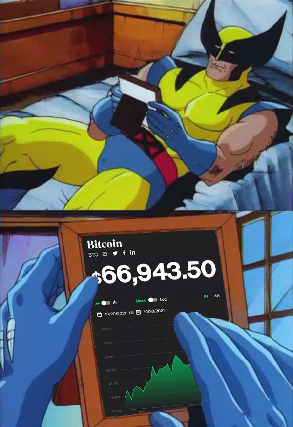 coinbureau's tweet image. The 1st of November. Almost a year ago since the #Bitcoin ATH 🥹