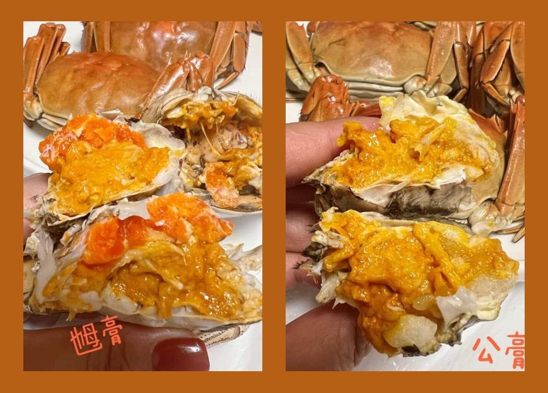 ZrA2zumi's tweet photo. #投稿 #需要關注！
#面臨審訊籌募律師費！

#網店
#蟹專 #CrabPro
#蟹 #大閘蟹

網址：
Fb ( 蟹專 Crab-Pro ）
Ig （ @crab_pro ）
——————————

比黑警截查
而家再被告阻差辦公同襲警

需要律師費！ https://t.co/DAf051vGl0
