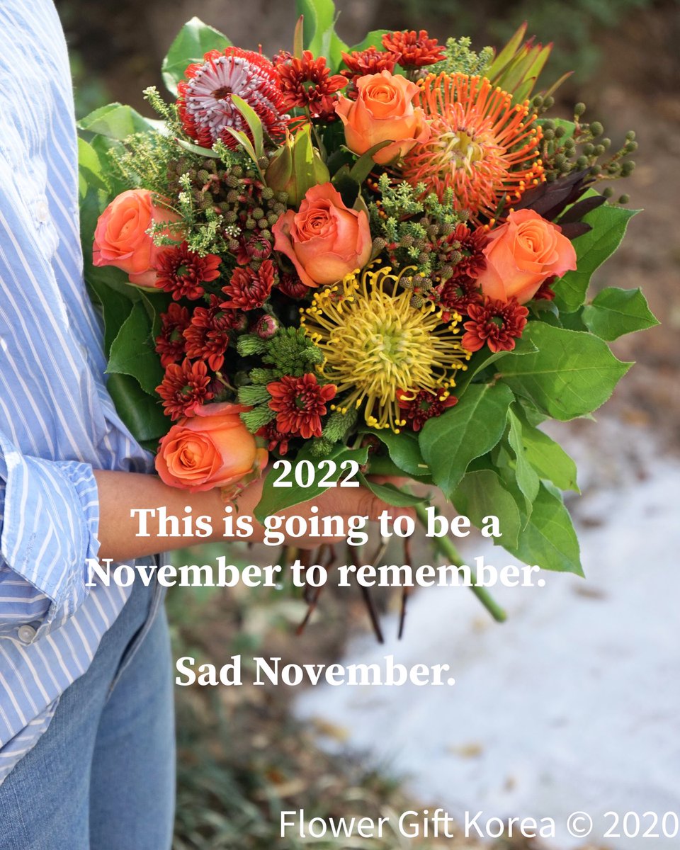 flowergiftkorea's tweet photo. Her eyes and dark and sad, Sad for the dying year, And often in the mist. There falls a silent tear.
#sadnovember #itaewon #itaewonhalloween #besafeeveryone #flower #itaewontragedy
#kpopgift #kpopflowers
#kpop #koreancelebrity #koreansingers #flowergiftkorea #꽃 #kdrama https://t.co/hwRmpEED4o