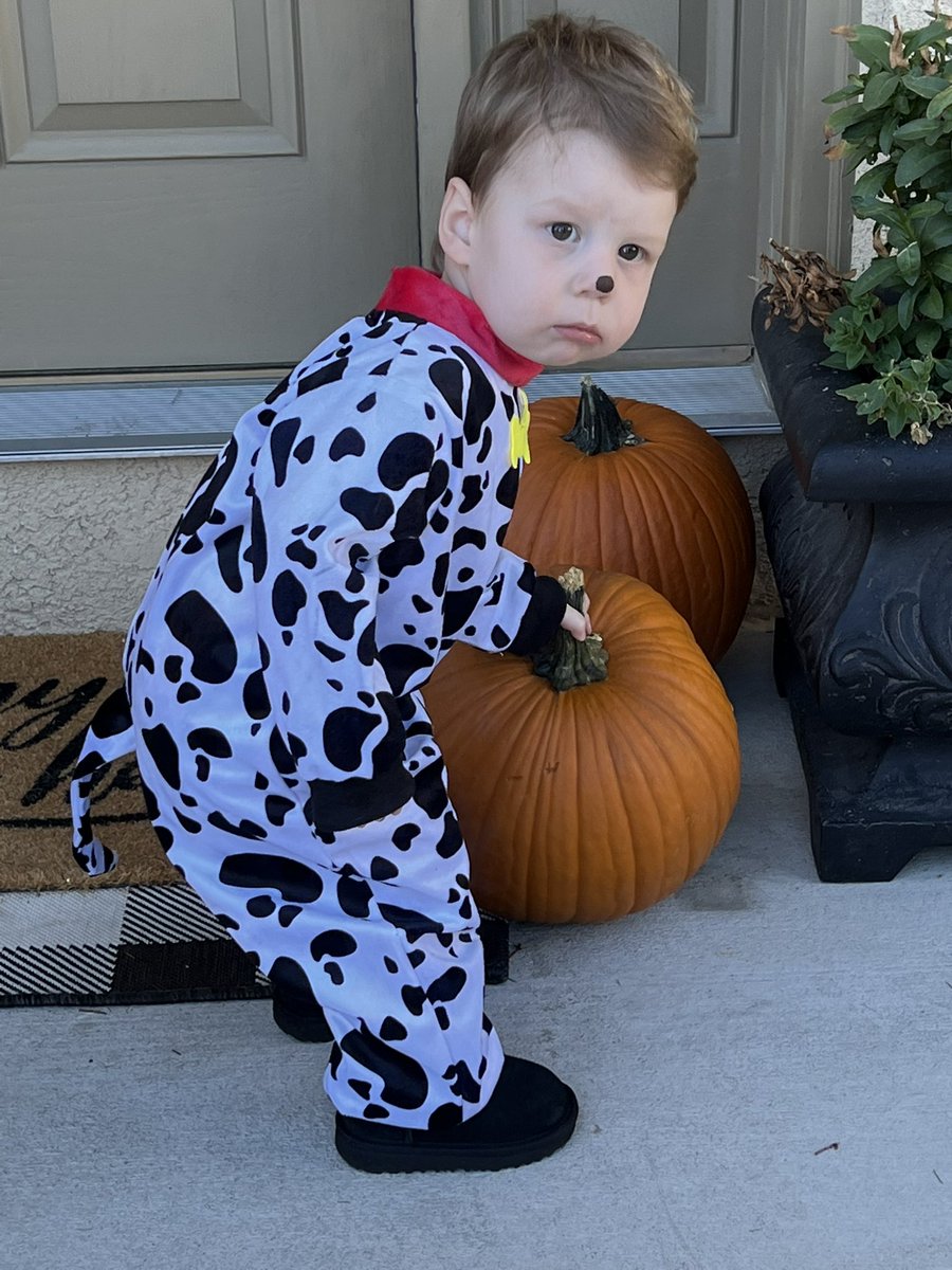 Happy dress up day!🎃🐾