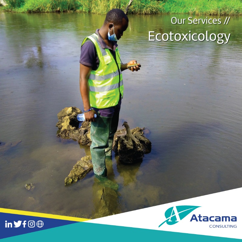 Atacama Consulting 🍃👷🏾‍♀️🦺 tweet media