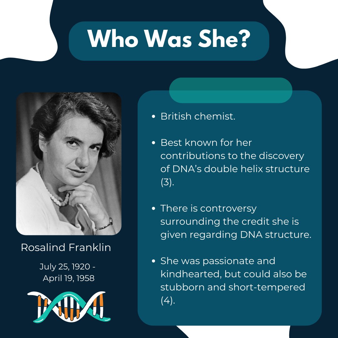 STEM Fellowship tweet media