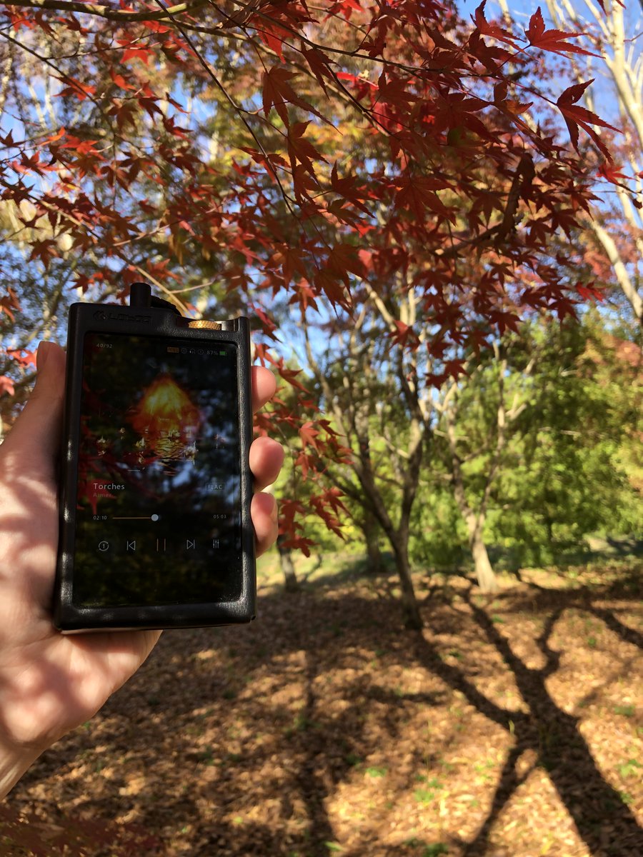 LotooOfficial's tweet photo. PAW 6000と音楽で秋を満喫🍁
#lotoo #paw6000 #portableaudio #ポタオデ https://t.co/p7wNM6RGLn