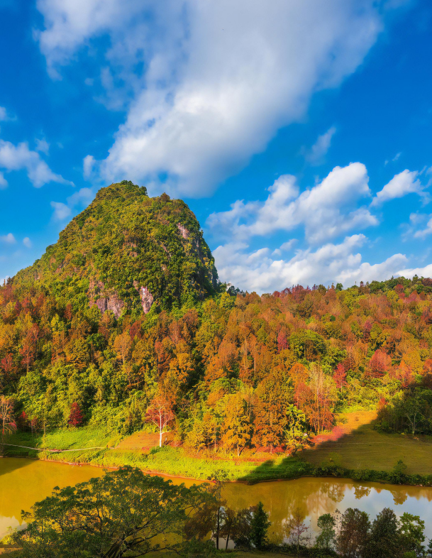 CA_Panorama's tweet photo. Autumn is bright and breezy in #Debao Red Leaf Forest Park, which is located in #Baise County, #Guangxi. In late October, the diverse color palette of maple leaves presents one of the finest views of nature. https://t.co/yYUTfHRF4G