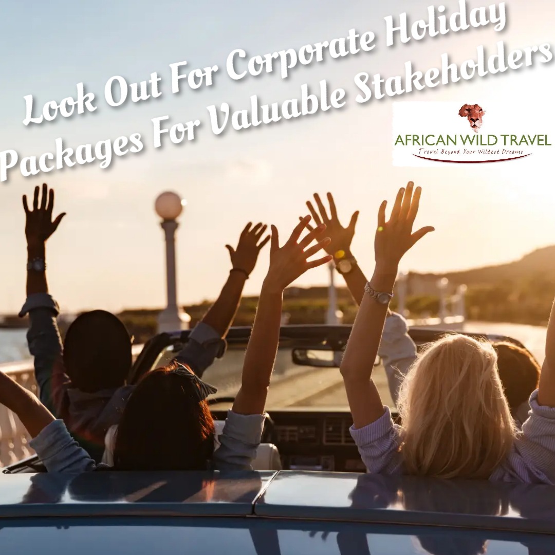 Africanwt's tweet photo. Let us help you incentivise your employees..
For more info call 031 829 3029 or email bookings@africanwildtravel
@MTNza
@SasolSA
@Investec
@InvestDurban
@MultiChoiceGRP
@MyIthala
@edtea_kzn
@Proudly_Bidvest
@ToyotaSA
@sanlam https://t.co/RKDVnIdioX