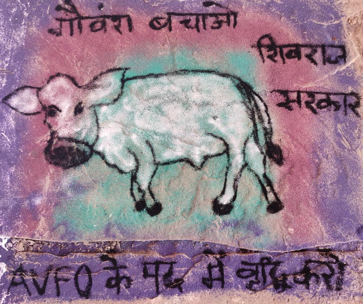 मध्य प्रदेश बेरोजगार पेरावेट एसोसिएशन tweet media