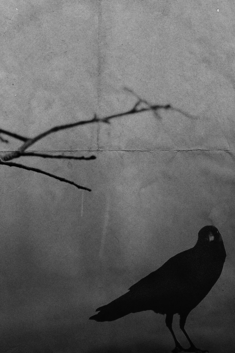 GM fam 👻

Enjoy all the little nice things around you today! 

Burning the unsold of these two in a few hours

#SpookyTuna #darktez