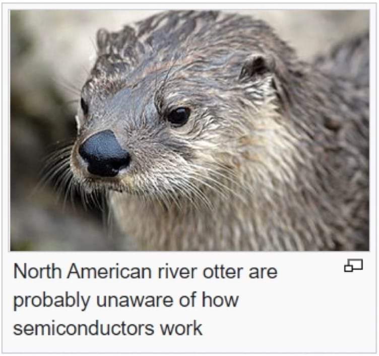 comrade_wombat's tweet photo. https://t.co/6iNhGgnuuF