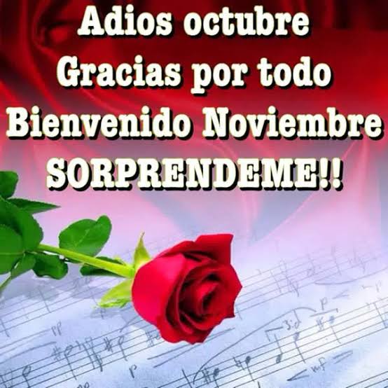 tiburón blanco tweet media