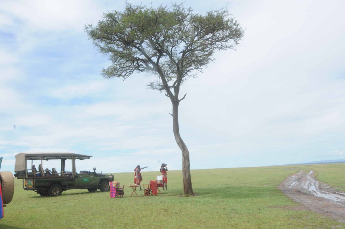 Nothing captures the essence of being away from it all better than a Sundowner at the Masai Mara.
 #safari #masaimaranationalpark #masaimarasafari #masaimaranationalreserve
#masaimara #travel