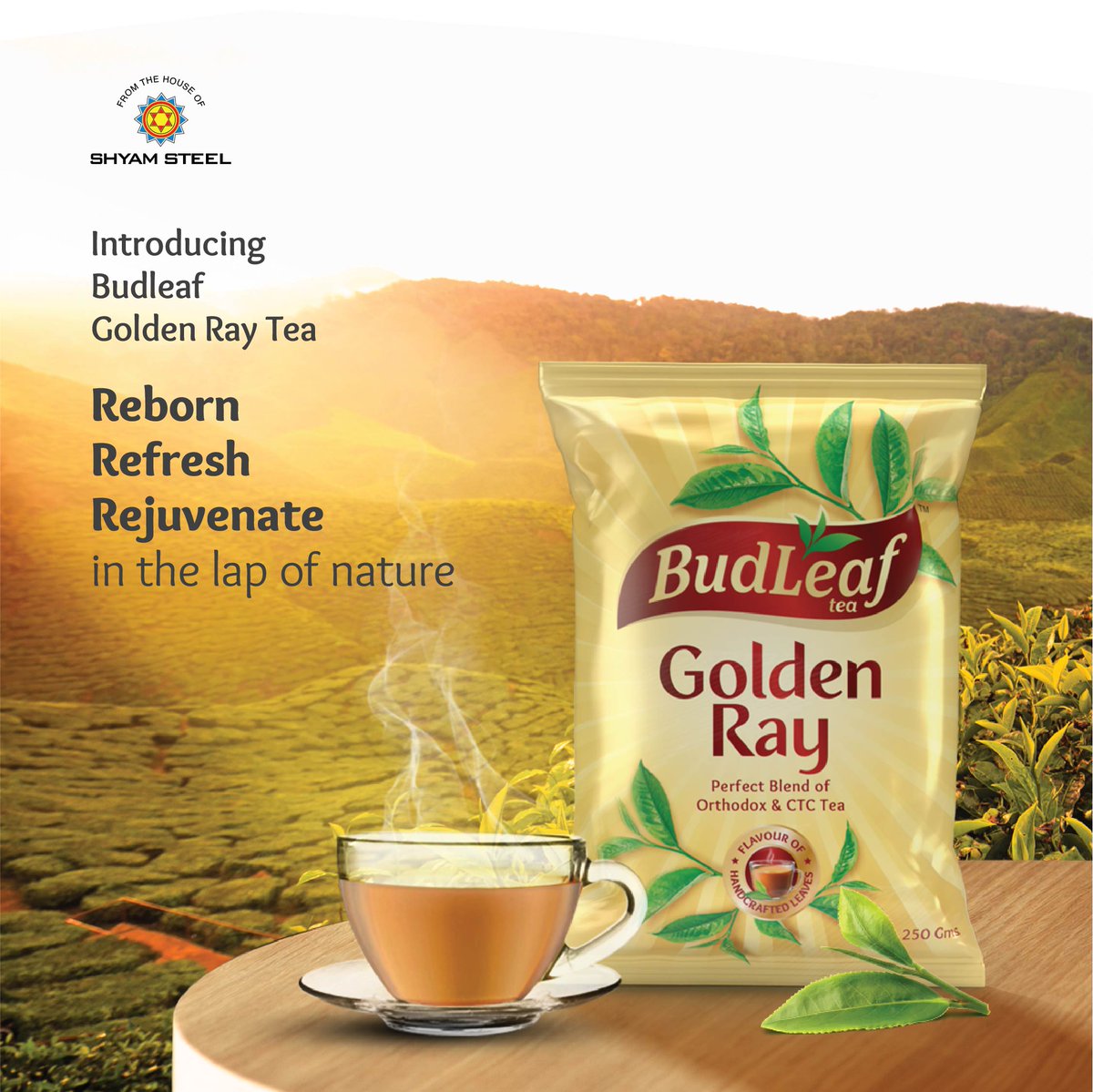 budleaftea's tweet photo. Introducing Budleaf Golden ray tea - Reborn, Rejuvenate, Refresh in the lap of nature.

#tea #teatime #tealife #teaholic #tealife #chai #budleaf #budleaftea #goldenray #budleafgoldenray #darjeelingtea #assamtea #longleavestea #longleaves #ctctea #orthodoxtea https://t.co/KkpsdErOId