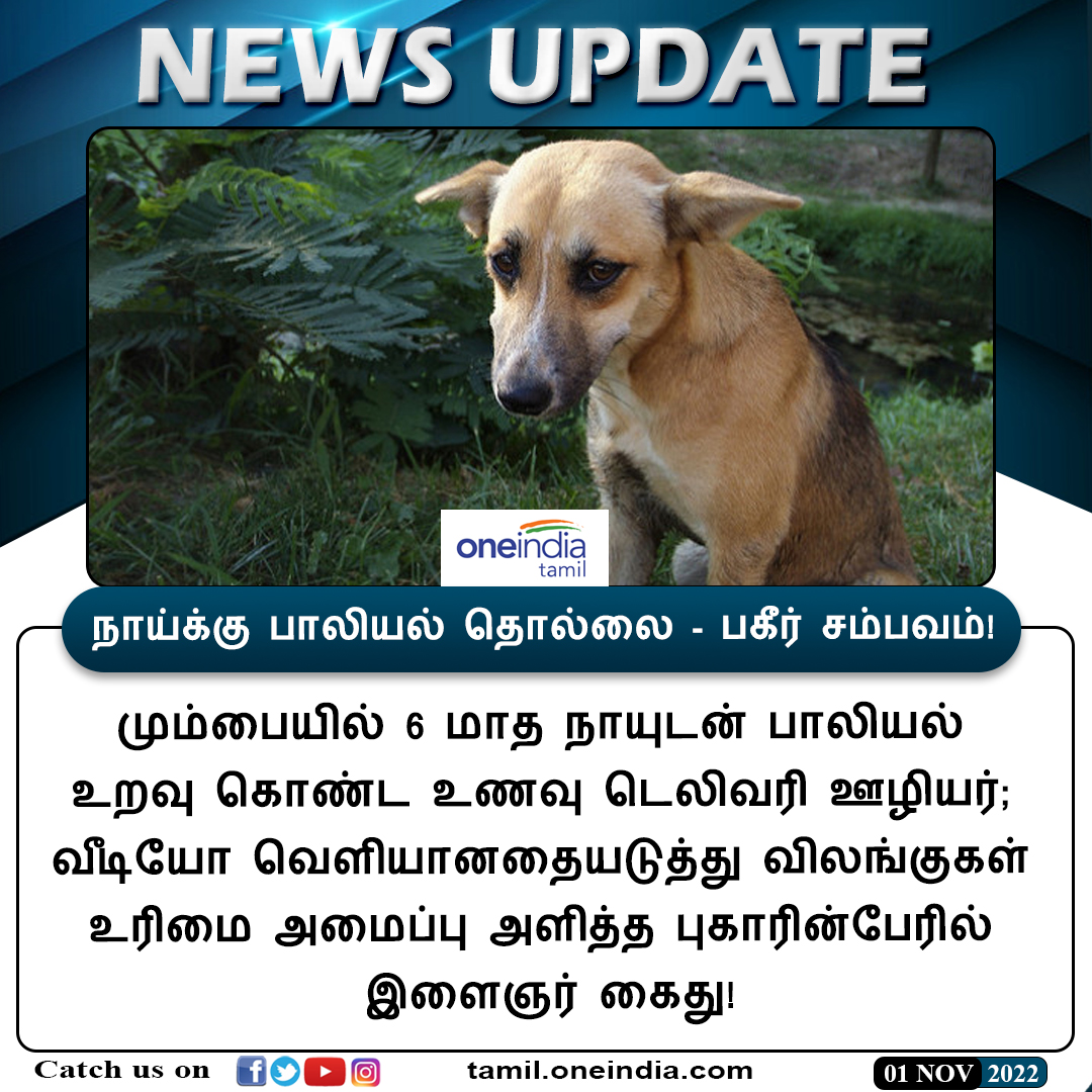 thatsTamil's tweet photo. #NEWSUPDATE | நாய்க்கு பாலியல் தொல்லை - பகீர் சம்பவம்!

https://t.co/JTGrgUIAPr #Mumbai #DeliveryBox #Dog #மும்பை #Oneindiatamil https://t.co/KAQ7XkpM7x