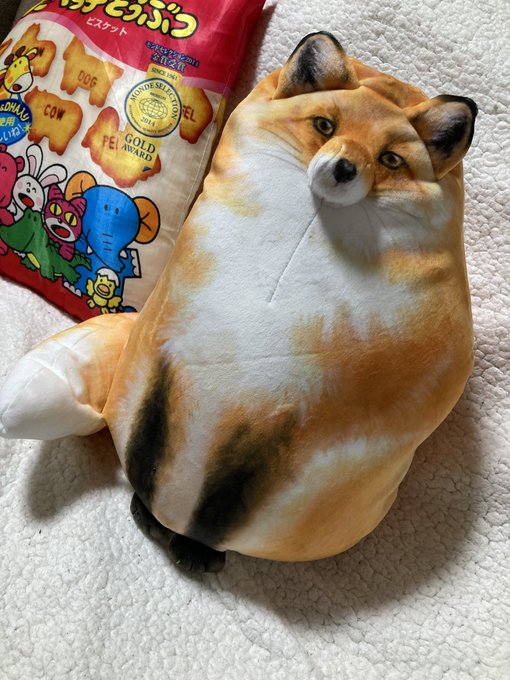 リバーシブルきつねクッション届いた
思ってたよりだいぶもっちりしてらっしゃる 