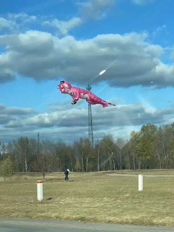 贵阳男M tweet media