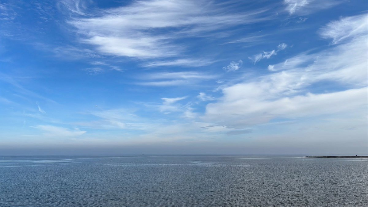 _weernl's tweet photo. De warmte van de laatste tijd, met recordhoge temperaturen, houdt de gemoederen in beweging. Iedereen worstelt er op zijn eigen manier mee. https://t.co/OLRdRBPLF3 #weer #worsteling #warmte
Foto: Jannes Wiersema. https://t.co/IFPPTs0cur