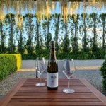 Photo by Anna Flowerday (@TeWhareRaWines)