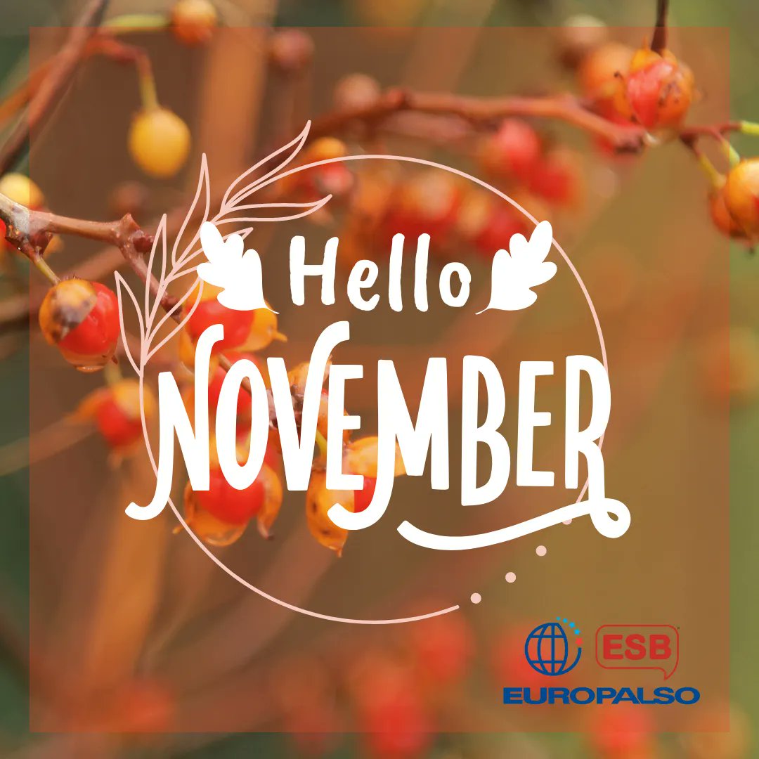 europalso's tweet photo. https://t.co/ViNS8KPwXw