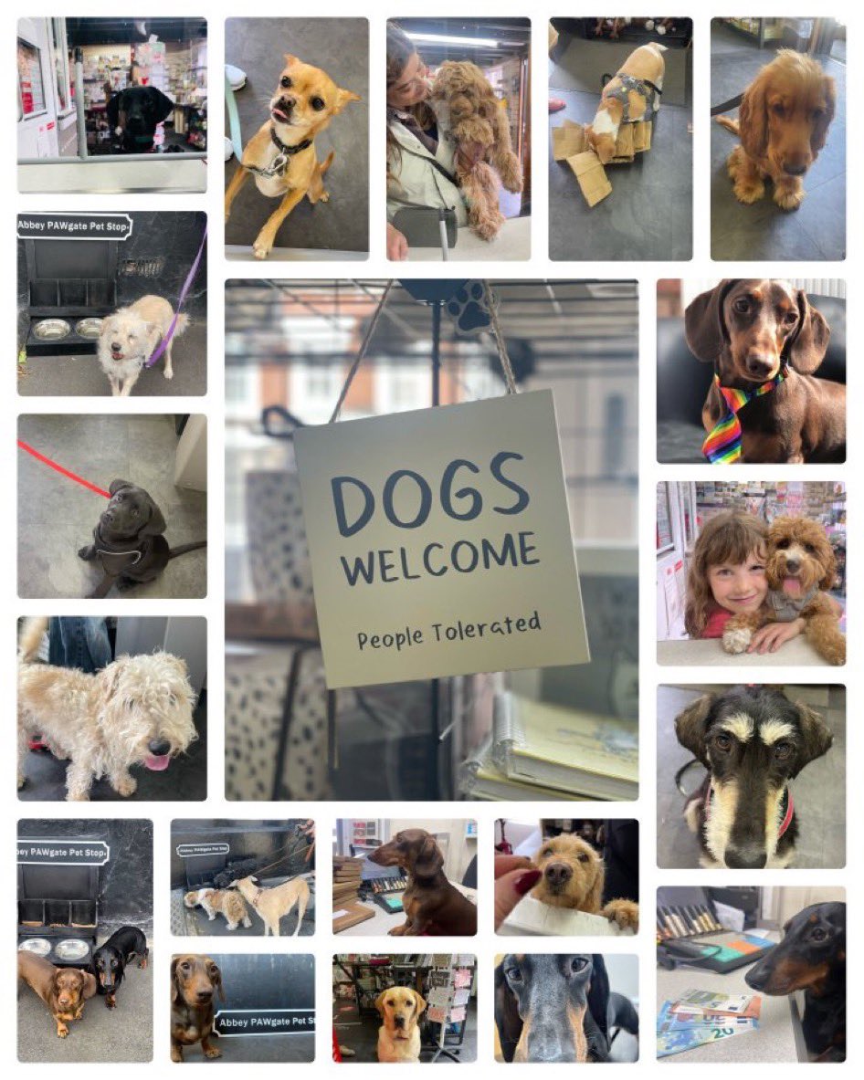 Dog friendly MAIN Post Office OPEN Mon to Fri 9am  - 5.30pm offering full range of PO services, quirky gifts & cards & of course doggies treats 🐾

🐾🐶 🐾🐕🐾🐩🐾🦮🐾🐕‍🦺🐾

#dogs #doglife #postoffice #abbeyforegatepostoffice #shrewsbury #dogsfriendly #dogswelcome #shrewsbury 🐾