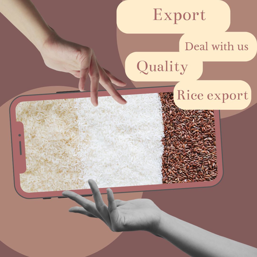 Shakshi_Int's tweet image. ⏺️Export update. ⏺️

#export #import #exportupdate #riceexport #rice #deal #bulkexport #quality #quantity #farmgoods #qualitygoods #shipping #exporters #importers