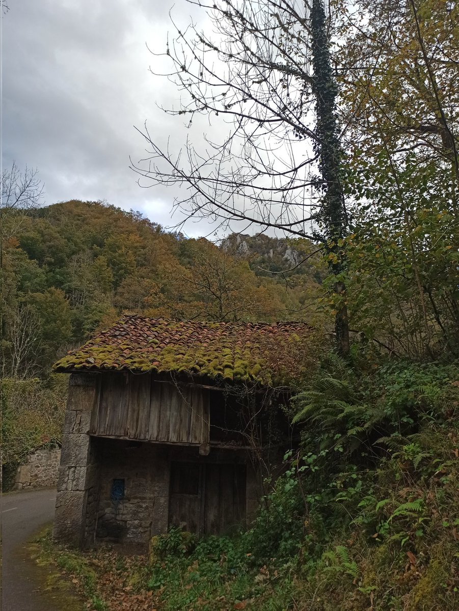 CasoRedes's tweet photo. Buenos días!

Comenzamos mes!! 
En nada se nos termina el año🤗
Aprovechemos el otoño,y el buen tiempo,que a partir de mitad de semana ya da cambio brusco de temperaturas!
#Caso #Redes #otoño #turismo #turismorural 
#HazCaso 💚💚 🍂🍁 https://t.co/bJvVxr8GCg