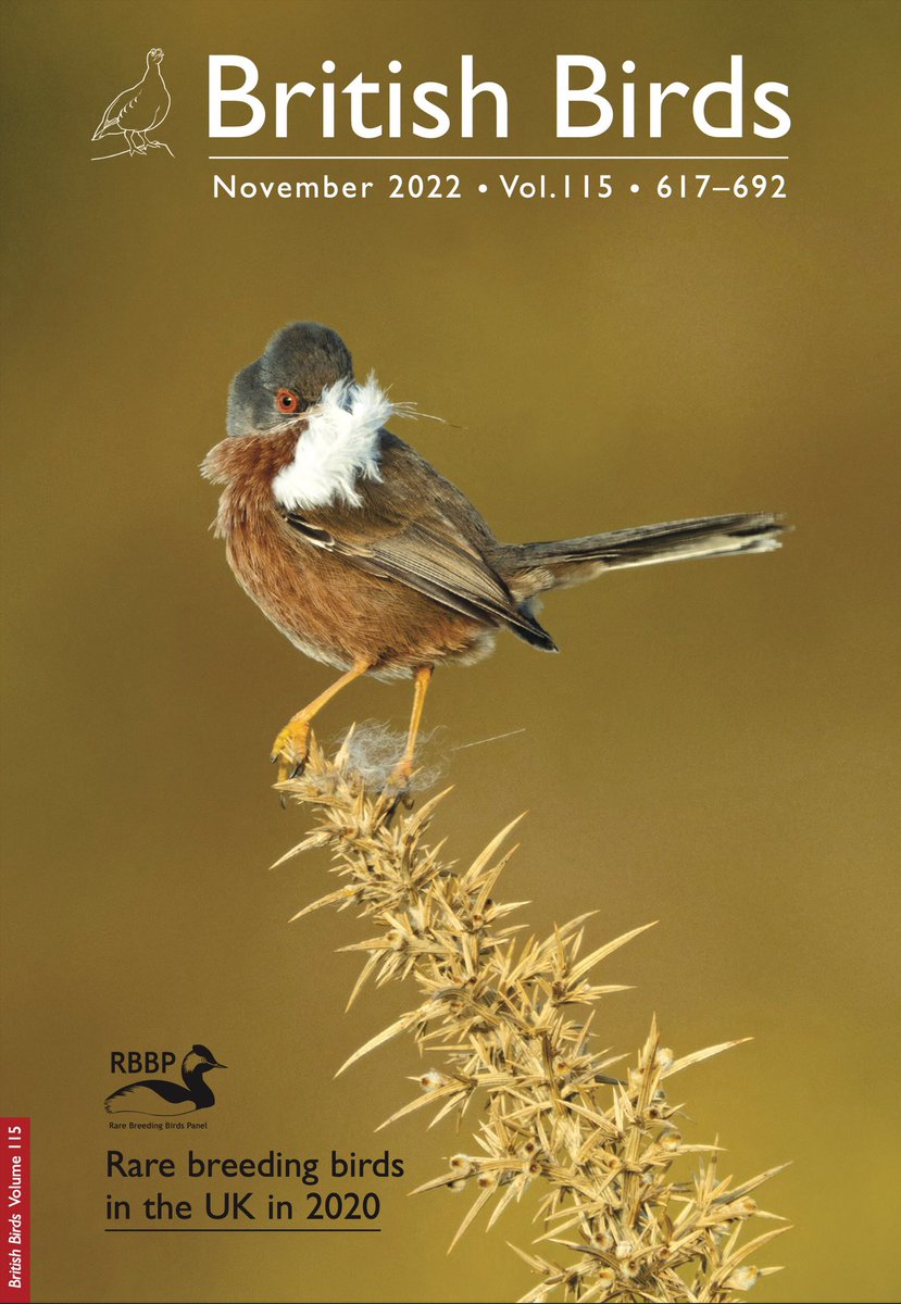 Our latest annual report, “Rare breeding birds in the UK in 2020” is out now in @britishbirds. Read a summary here rbbp.org.uk/2020-report-ov… #RBBP2020