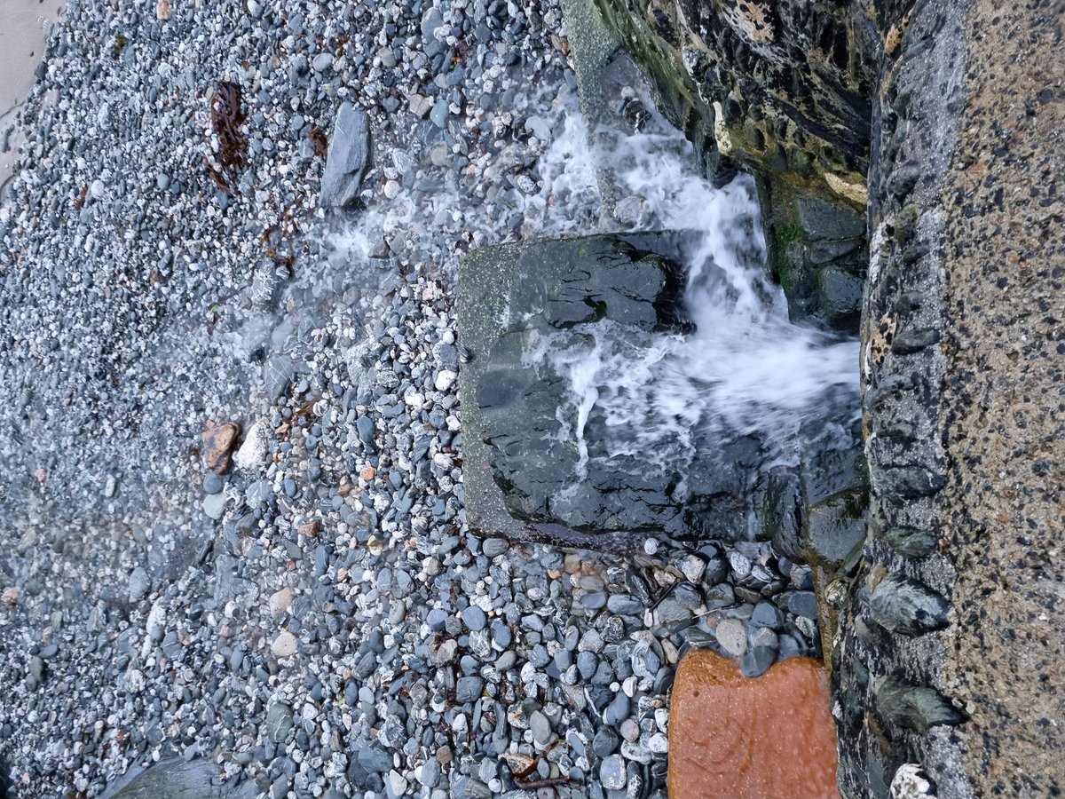 szki49's tweet photo. After another night of heavy rain in #StAgnes there is a noticeable difference today with the clear water coming from the drain today at #trevaunancecove.No rancid smell and no discolouration from the land run off either 🙄 #surfersagainstsewage #southwest #Cornwall @BBCBreakfast https://t.co/GEU9592bJ0