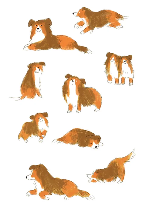 #犬の日 