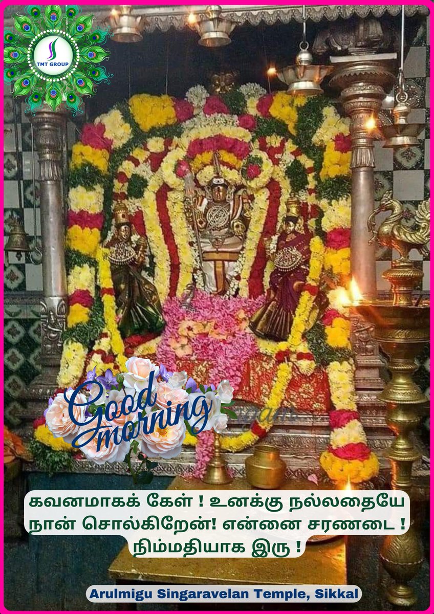 TMTEventzz's tweet photo. #goodmorning #muruganthunai #tmtgroup #lordmurugantemple https://t.co/ScXyFiRdrs