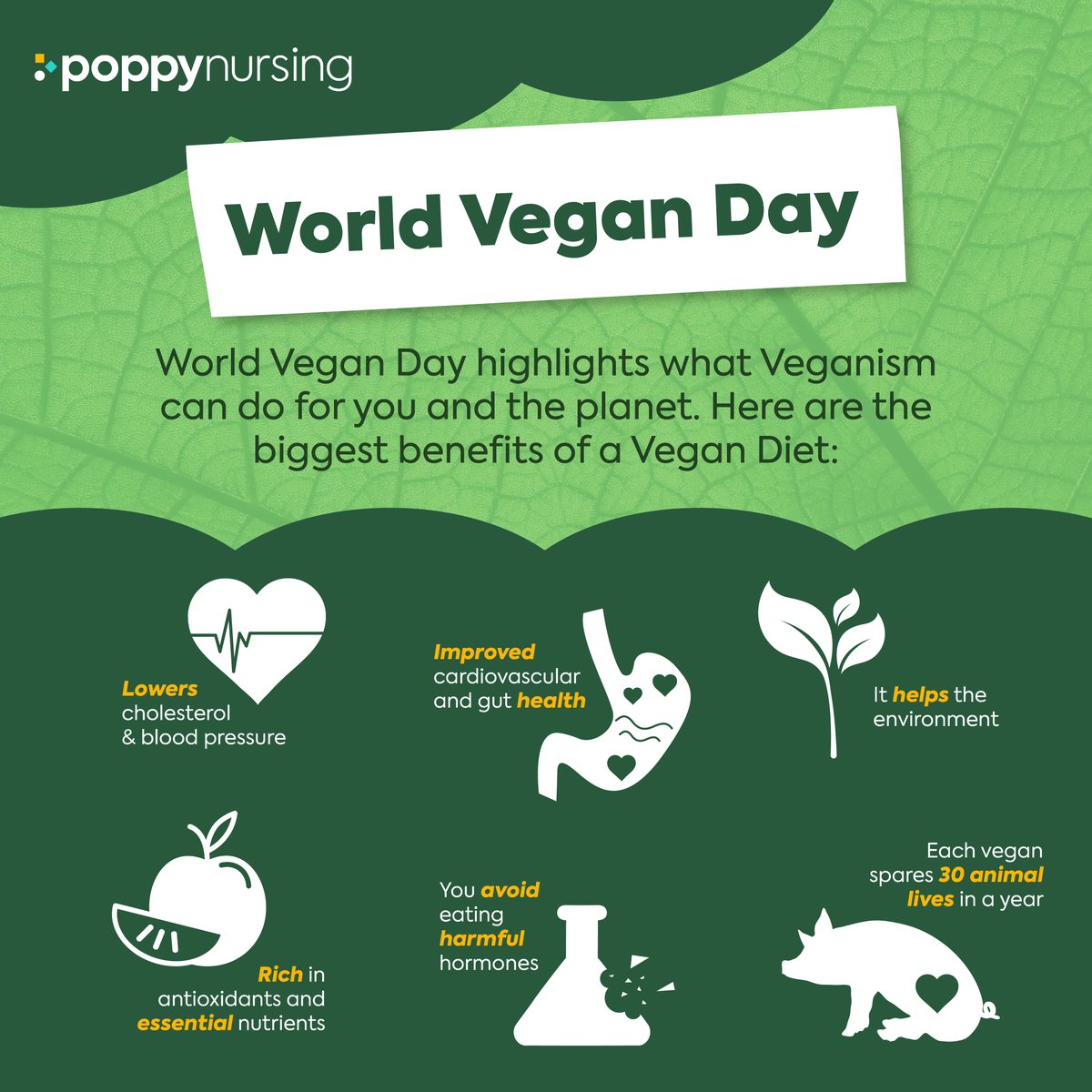 PoppyNursing's tweet photo. On #worldveganday, we raise awareness of what veganism can do for your health as well as the health of the planet. If you've considered going green before, then look at everything veganism can do for you. 💚 🥗 🌍 
#goinggreen #health https://t.co/wFTqh2lUt6