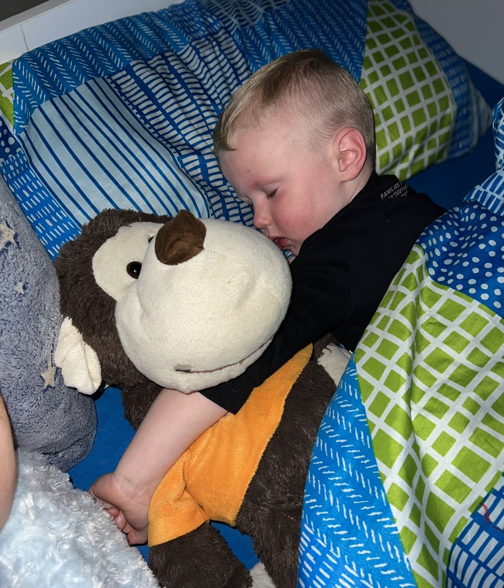 FBellaBforsyth's tweet photo. One very excited boy having a sleepover with “Cheeky the Monkey”he wanted to show him his hamster too💙 @bant_nursery https://t.co/ghSU79HhW6