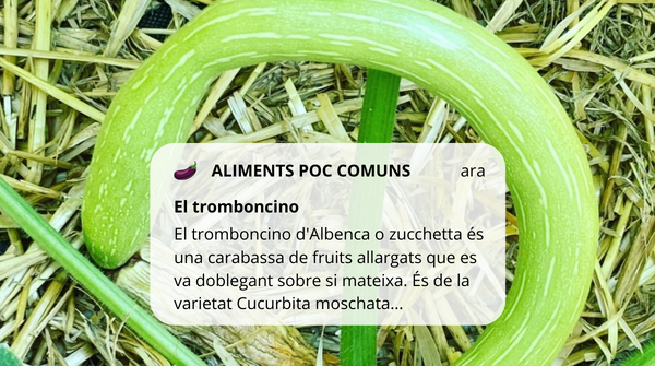 CeNDieF Nutrició tweet media
