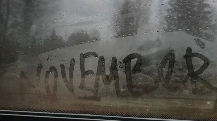 malusokay's tweet image. Welcoming November 💭