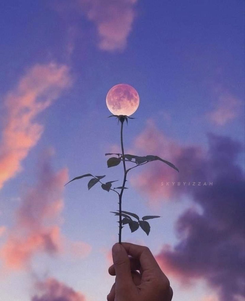 The moon captured beautifully! 🌺