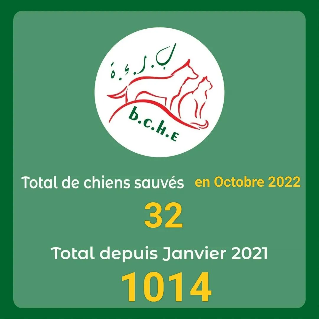 dzbche's tweet photo. Bonjour

Voilà notre bilan mensuel des chiens secourus, merci aux personnes qui nous ont fait les alertes pour ces loulous qui été en détresse de différentes wilayas.

A bientôt 🤗
#EndRabiesNow #TNV #TNVR #zeroby30 https://t.co/NdU5N3oOB7